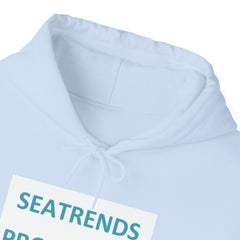 SEATRENDS PRODUCTS Unisex Heavy Blend™ Hooded Sweatshirt