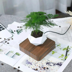 Levitating Air Bonsai Pot Rotation Planters