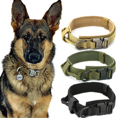 Dog Collar Tactical Style